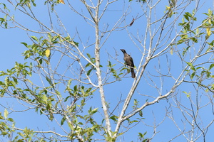  DSC9270 DxO